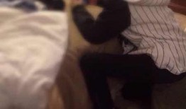 吃瓜群众图唯美,唯美“吃瓜群众”图鉴