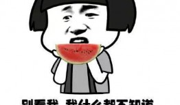 理性吃瓜原视频,揭秘原视频背后的真相与笑料