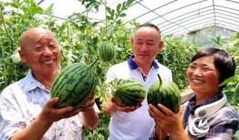 吃瓜驿城区,探寻美食与文化的交汇之地