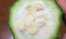 吃瓜里面是啥,探寻瓜内乾坤