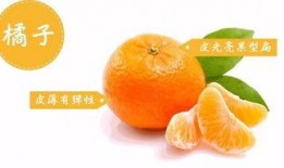 雪圈吃瓜王中王,揭秘冰雪娱乐界的“瓜王争霸”