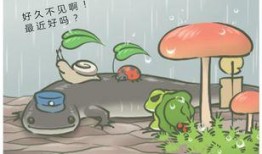 呱呱吃瓜呱呱好吃不,尽享美味时光