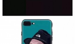 天天吃瓜怎么关注