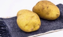 土豆吃瓜直播间,揭秘网红美食背后的故事