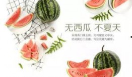 吃瓜文化社,揭秘网络时代的“瓜田”盛景