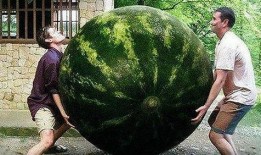 死人吃瓜,死人吃瓜背后的惊人真相