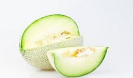 吃海螺吃哈密瓜,探寻美食的奇妙融合之旅