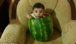 西瓜视频吃瓜图片,揭秘西瓜视频吃瓜图背后的故事