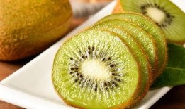 理性吃瓜家人,揭秘家人生存智慧