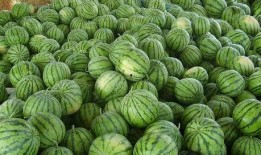 今日吃瓜扒一扒,吃瓜群众扒一扒娱乐圈最新八卦