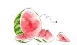 夏季吃瓜安全指南,清凉解暑，健康享“瓜”