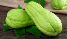 跟苏木吃瓜,揭秘娱乐圈幕后故事