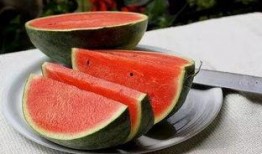 郑州尉氏吃瓜,探寻郑州尉氏的美食风情