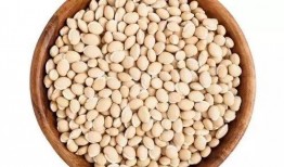 吃豆人视频吃瓜,吃豆人视频中的吃瓜趣事