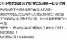 吃瓜的记录,盘点娱乐圈那些事儿