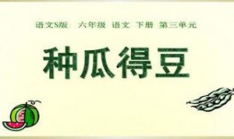 吃瓜ppt都有哪些,揭秘网络热词背后的文化现象