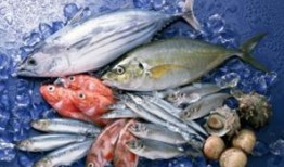 鱼吃小瓜吗,揭秘鱼儿是否食用小瓜的奥秘