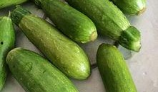 迷你小瓜可以吃吗