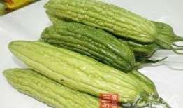 吃凉瓜的文案,凉瓜清爽一夏