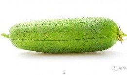 吃瓜的种子,揭秘吃瓜种子的神奇之旅