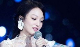 张韵涵的吃瓜,揭秘娱乐圈幕后真相