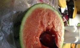 马上停止吃的瓜,即刻告别喧嚣瓜界