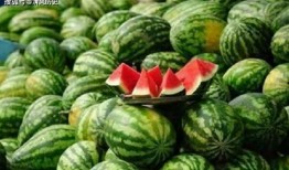 是什么 吃瓜,揭秘“吃瓜”背后的社会现象与文化解读