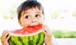 吃瓜又吃瓜小说,揭秘吃瓜背后的神秘世界