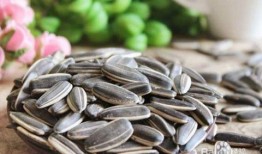 瓜娃子吃瓜子越吃越瓜,越吃越“瓜”的奥秘探索