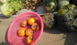 丑瓜能怎么吃,探索创意烹饪新境界