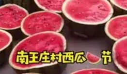 保定理工吃瓜,一场“吃瓜”事件背后的真相揭秘