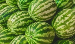 吃瓜里面是啥,探寻瓜内乾坤