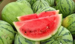 今年吃瓜哪家强