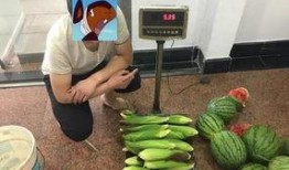 偷钻吃瓜,揭秘吃瓜群众的狂欢盛宴