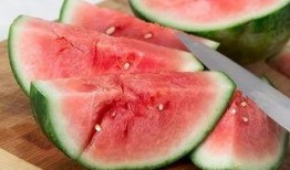 种瓜得瓜等待吃瓜,揭秘瓜农的辛勤与收获