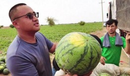 假装在西塘吃瓜,一场假装的悠闲夏日盛宴