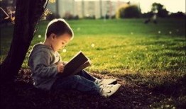 吃瓜界的巅峰,揭秘那些年我们一起追的瓜