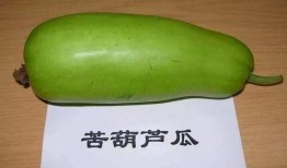 瓠瓜一瓜两吃的功效与禁忌,一瓜两吃，健康生活指南