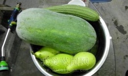 吃瓜今日瓜热门瓜,吃瓜群众聚焦娱乐圈最新热点事件