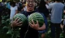 郑州学校吃瓜事件,校园食品安全问题引发关注