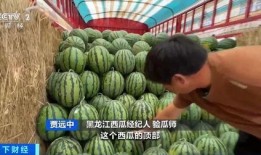 韩城吃瓜现场,揭秘幕后真相，一探究竟