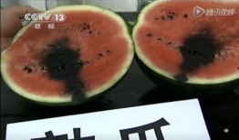 吃大肚瓜的视频,挑战者们的美食冒险之旅