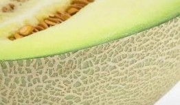 吃瓜吃瓤还是肉好吃,吃瓜吃瓤还是肉？揭秘最佳口感选择