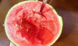 新兴吃瓜,网络时代的娱乐风向标