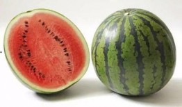 砀山吃瓜详情,一场味蕾与视觉的双重盛宴