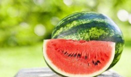 夏星夜吃瓜,揭秘娱乐圈背后的那些事儿