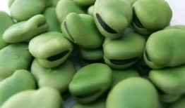 吃豆人视频吃瓜,吃豆人视频中的吃瓜趣事