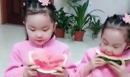 双胞胎 吃瓜,揭秘双胞胎世界的甜蜜与趣味