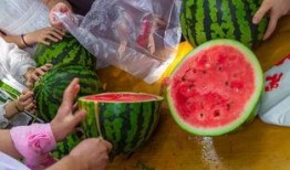 最美的吃瓜视频,揭秘最美吃瓜视频背后的精彩瞬间