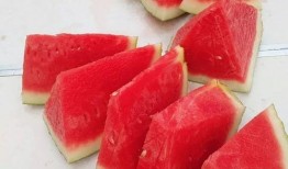 吃瓜大赛吃西瓜